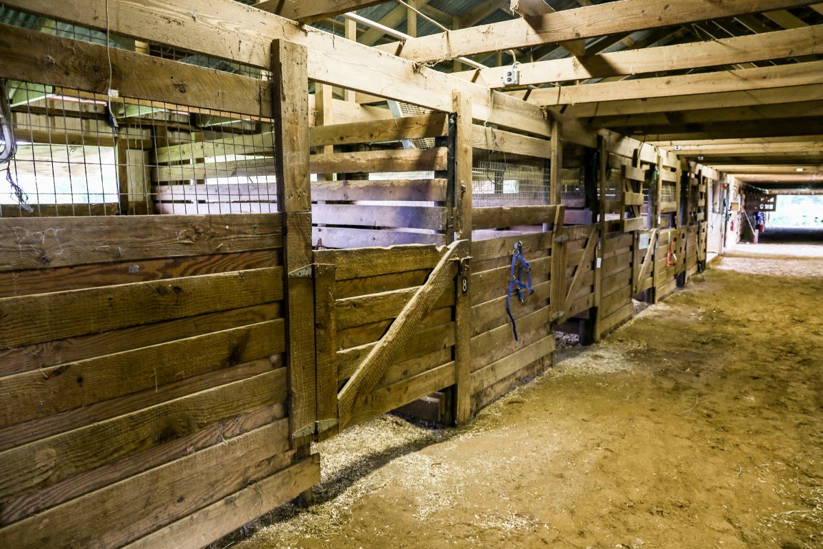 Hilltop Lakes Stables